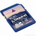 Memory Card SDHC 8GB Kingston